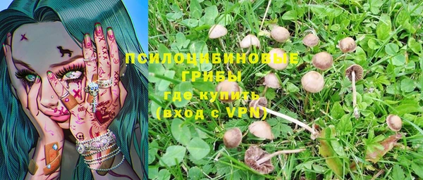молекула духа Бронницы